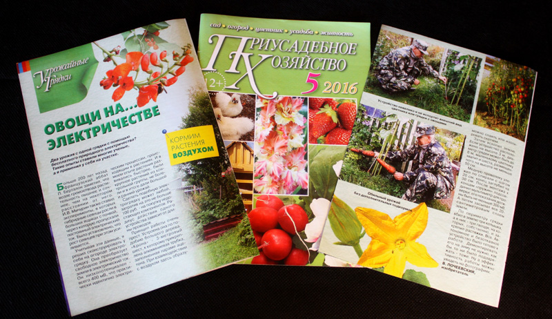 [Владимир Почеевский] Электрогрядка + Плазменная Э_0.jpg